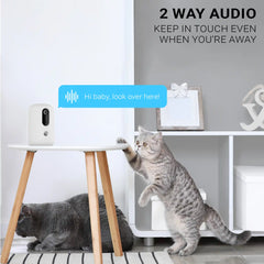 Instachew - Purechew Snack Treat Dispenser