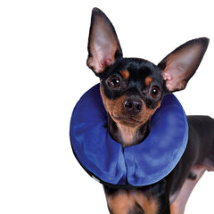 KONG Cloud Collar Small