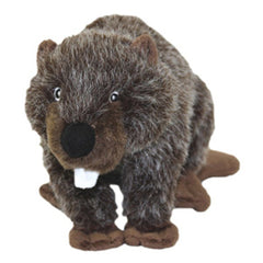 Mighty - Jr Nature Beaver