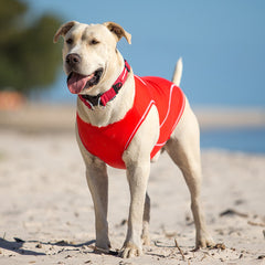 EzyDog Rash Guard