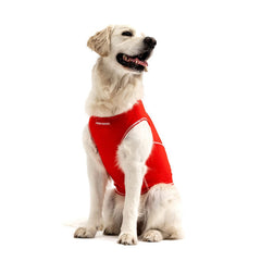 EzyDog Rash Guard