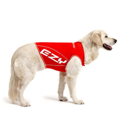 EzyDog Rash Guard