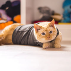 ThunderShirt for Cats L
