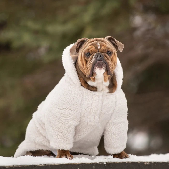 GF Pet - Cozy Dog Hoodie | Off White