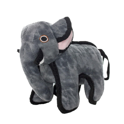 Tuffy - Zoo Elephant