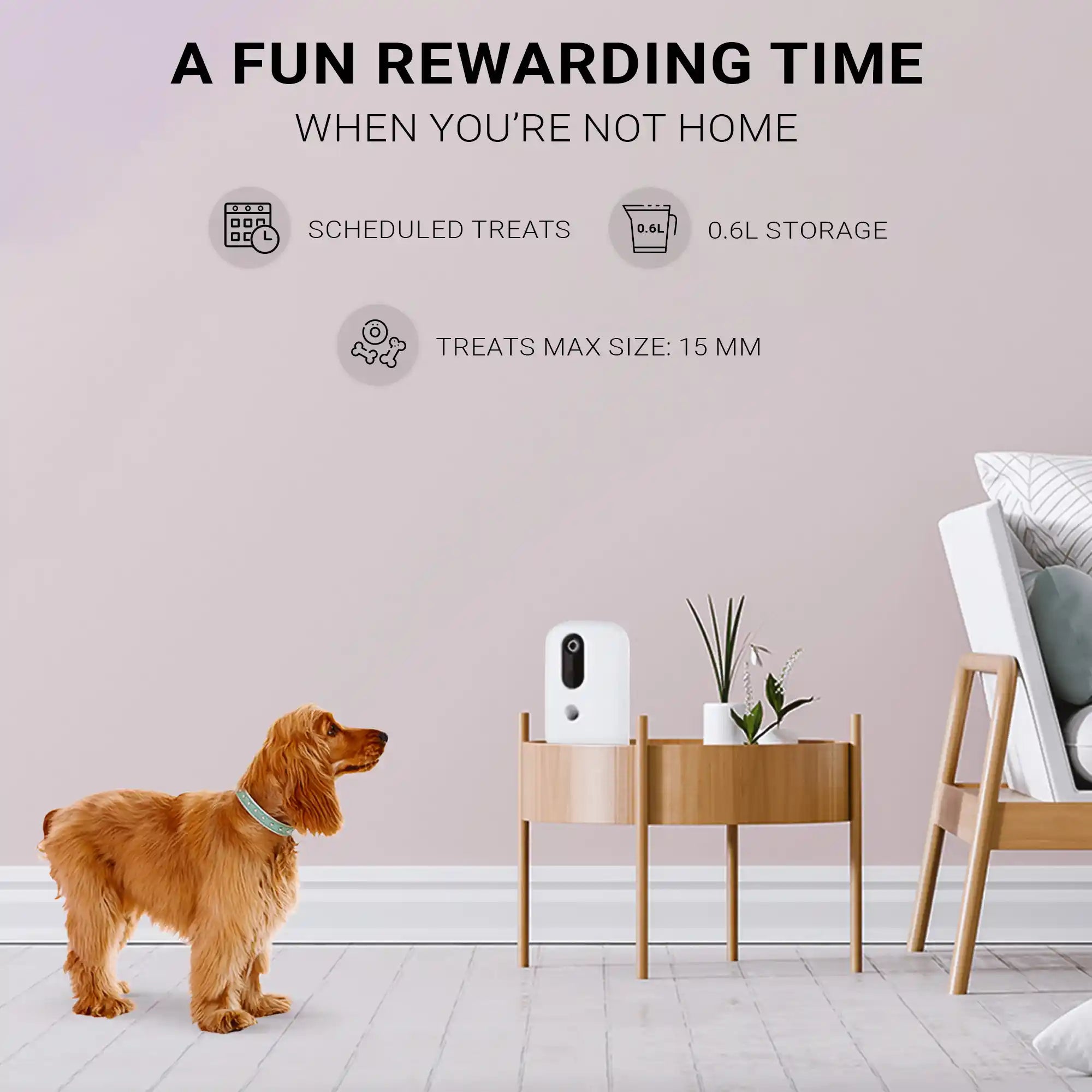 Instachew - Purechew Snack Treat Dispenser
