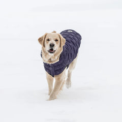 GF Pet - Cloud Dog Parka | Purple