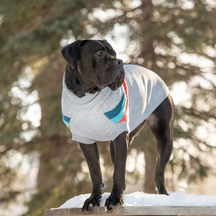 Zoom Alpine Dog Sweater | Grey Mix