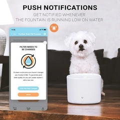 Instachew - Purrflow Smart Pet Fountain
