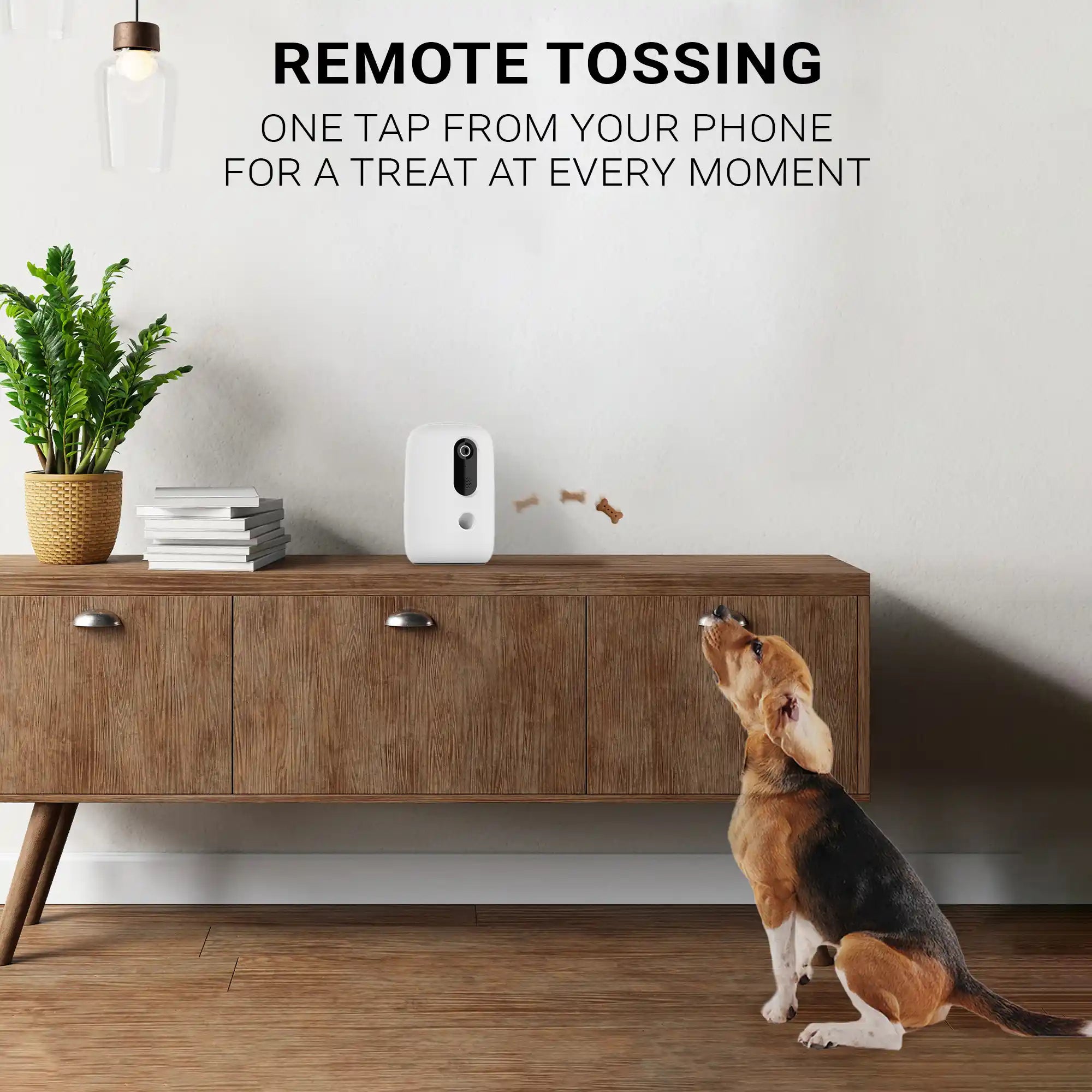 Instachew - Purechew Snack Treat Dispenser