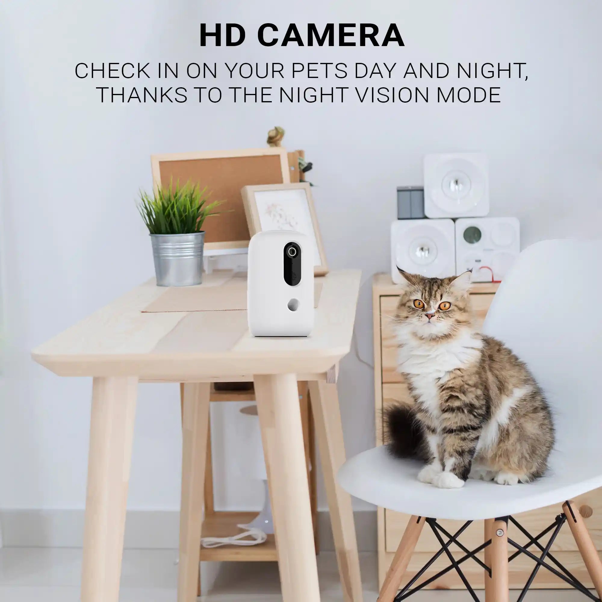 Instachew - Purechew Snack Treat Dispenser