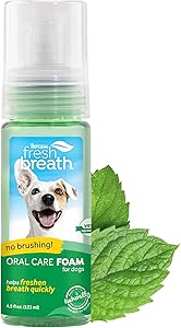 Tropiclean - Oral Care Fresh Mint Foam 4.5oz