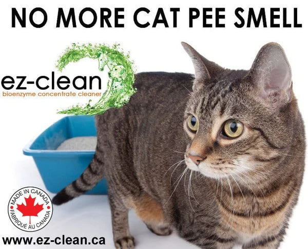 EZ-Clean Odor & Stain Remover- Highly Concentrated Bio Enzyme Pet Odor Eliminator for Dog, Cat, and Small Animal Urine Indoor & Outdoor Use for Any Organic Spills (1 L Spray with Hose Attachment)