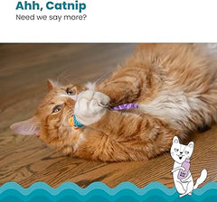 Catstages - Cat Catnip Chew Mice Dental Health - 2 Pack