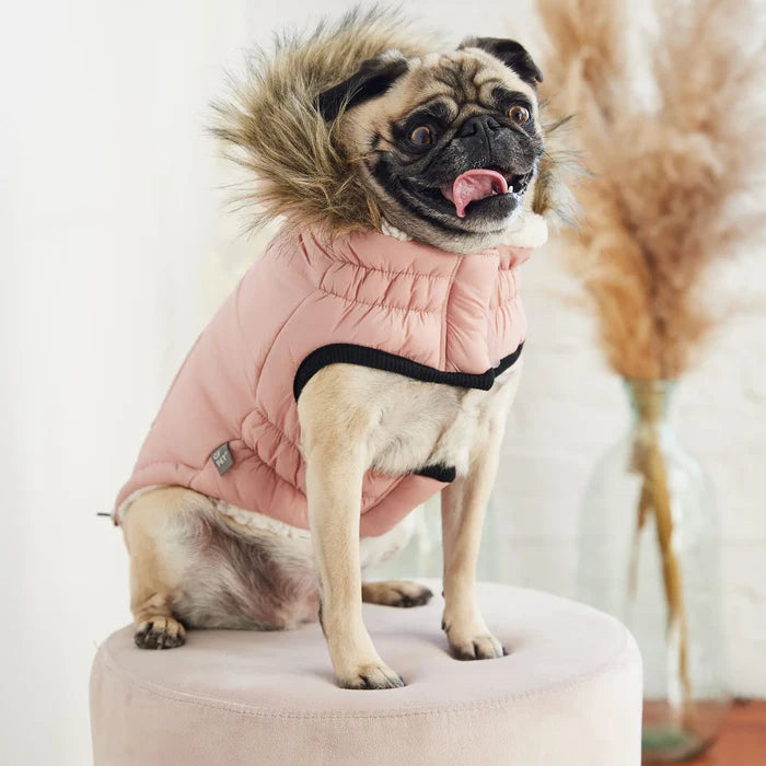 GF Pet - Urban Dog Parka | Pink