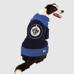 NHL Pet Hockey Jersey Winnipeg Jets