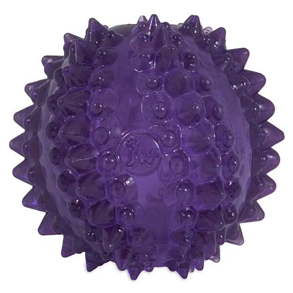 JW - Dog Bristl-ee Cactus Ball