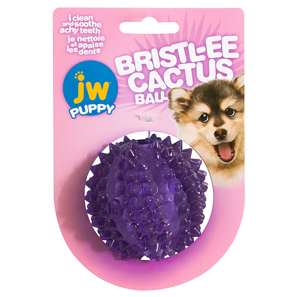 JW - Dog Bristl-ee Cactus Ball