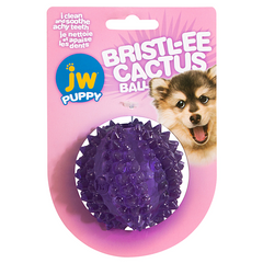 JW - Dog Bristl-ee Cactus Ball