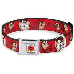 Buckle Down - Tasmanian Devil Expressions Red Swirl