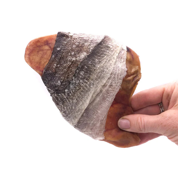 Icelandic+ Fish Ear Cod Skin Wrapped Pig Ear Dog Treat