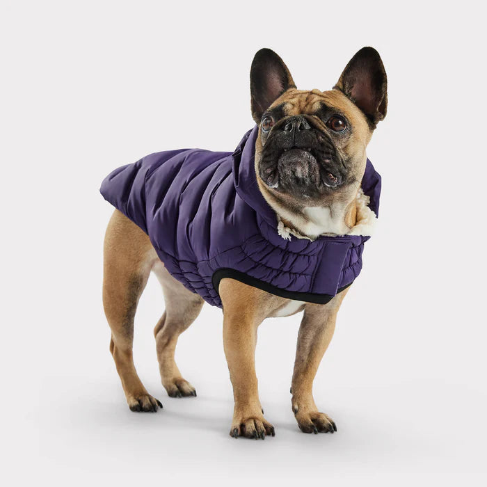 GF Pet - Cloud Dog Parka | Purple