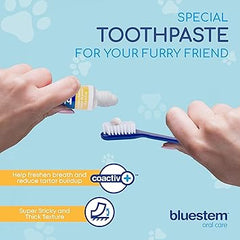 Bluestem - Oral Care Chicken Flavor Toothpaste for Dogs