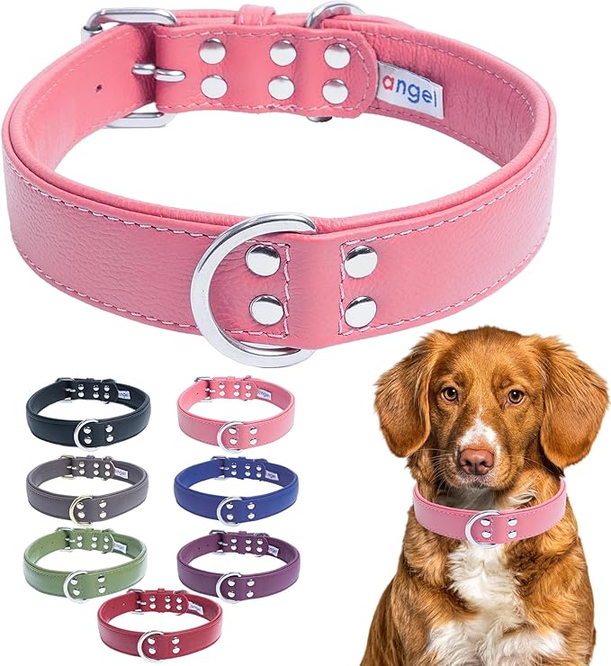 Angel Alpine Plain Dog Collar Bubblegum Pink