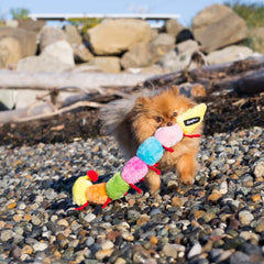 Zippy Paws - Caterpillar Large with 7 Squeakers