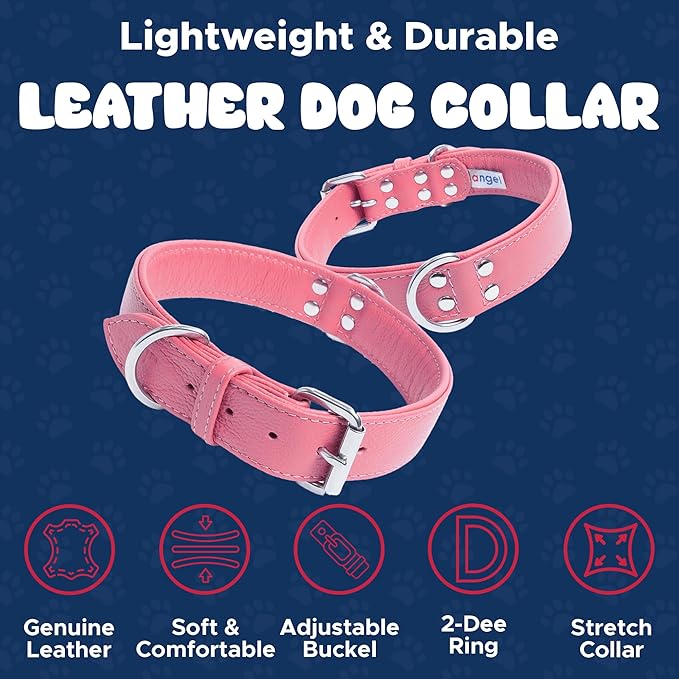 Angel Alpine Plain Dog Collar Bubblegum Pink