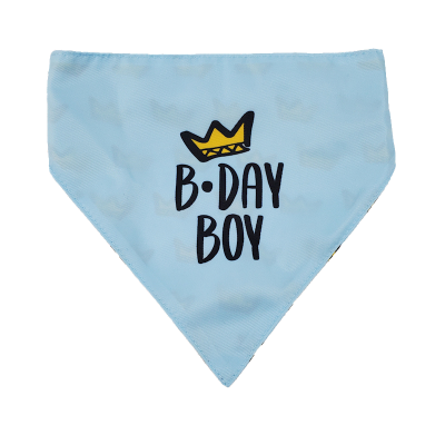 BB Bandana - Birthday Boy XS