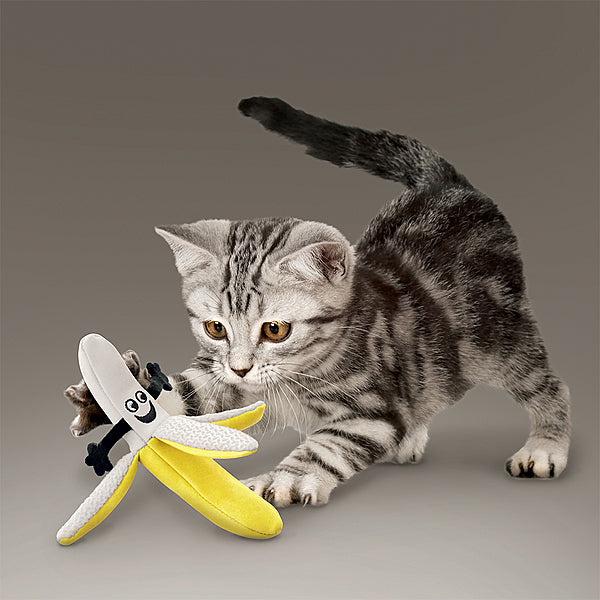 Kong - Cat Better Buzz Banana