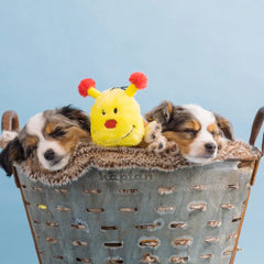 Zippy Paws - Caterpillar Deluxe with 7 Squeakers