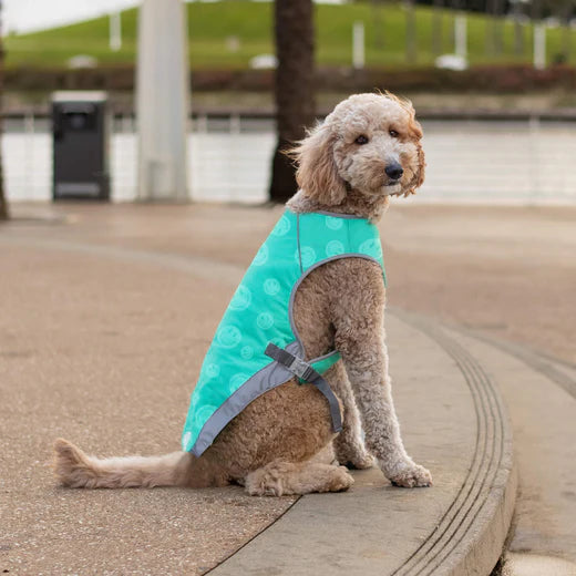 Canada Pooch Chill Seeker Cooling Vest Wet Reveal