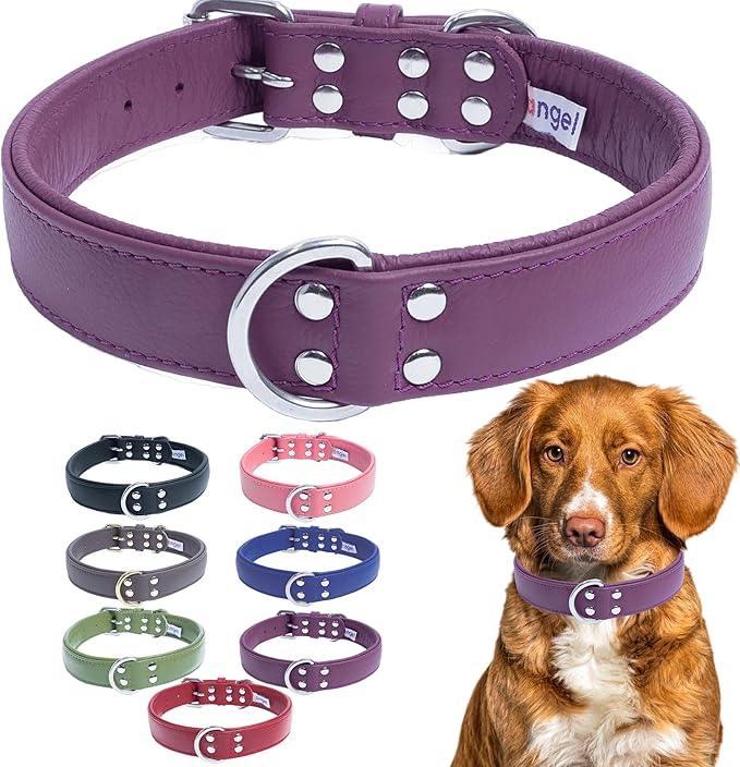 Angel Alpine Plain Dog Collar