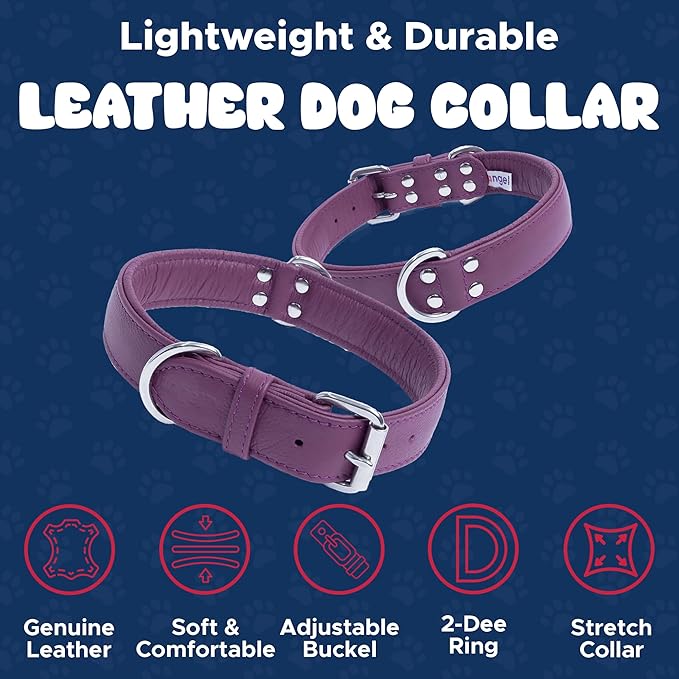 Angel Alpine Plain Dog Collar