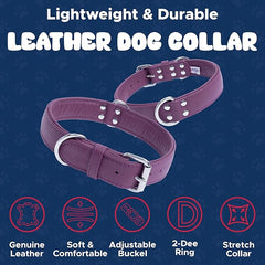 Angel Alpine Plain Dog Collar