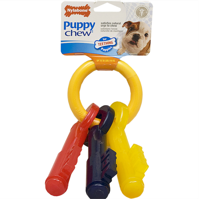 Nylabone - Teething Keys Large