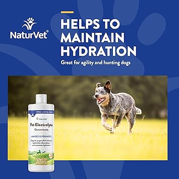 NaturVet Pet Electrolyte Concentrate for Dogs and Cats, 16 oz Liquid Concentrate