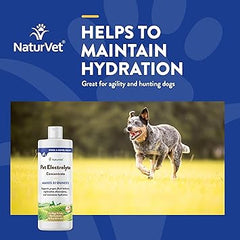 NaturVet Pet Electrolyte Concentrate for Dogs and Cats, 16 oz Liquid Concentrate