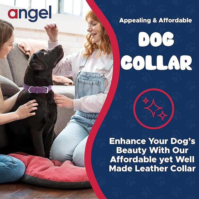 Angel Alpine Plain Dog Collar