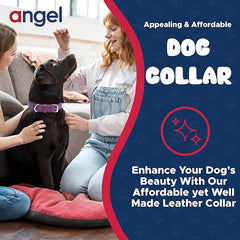 Angel Alpine Plain Dog Collar