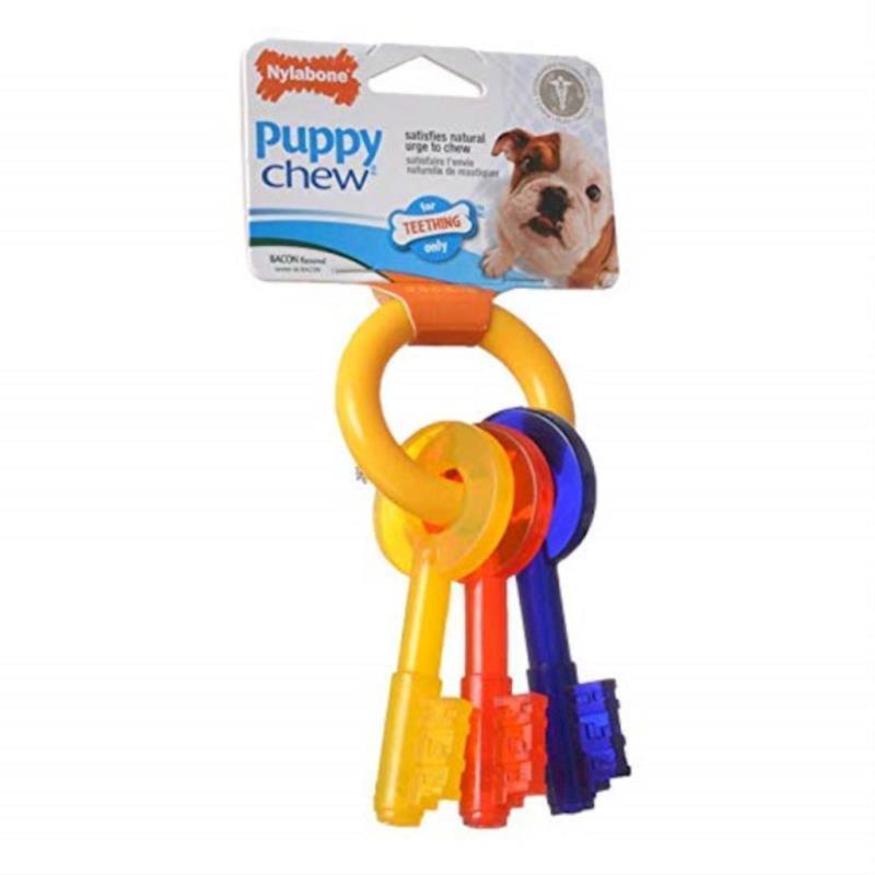 Nylabone - Teething Keys Xsm