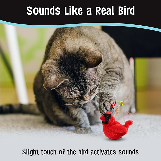 SPOT - Cat Song Birds - Touch Activated Singing Catnip Toy Mimics Real Bird Songs