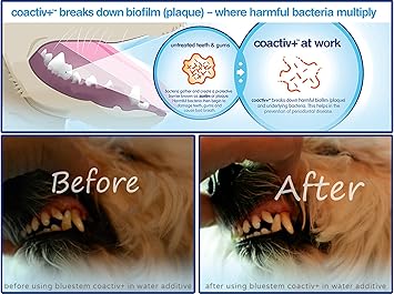 Bluestem - Oral Care Chicken Flavor Toothpaste for Dogs