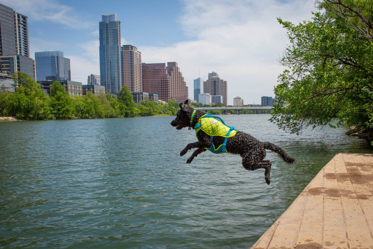 Outward Hound Standley Sport Performance Dog Life Jacket