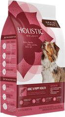 WellPet - Holistic Select - Dog Adult & Puppy Health Grain Free Salmon Anchovy & Sardine