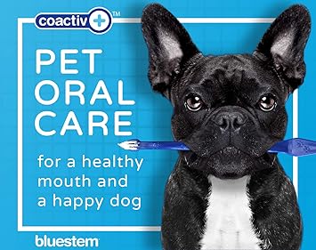 Bluestem - Oral Care Chicken Flavor Toothpaste for Dogs