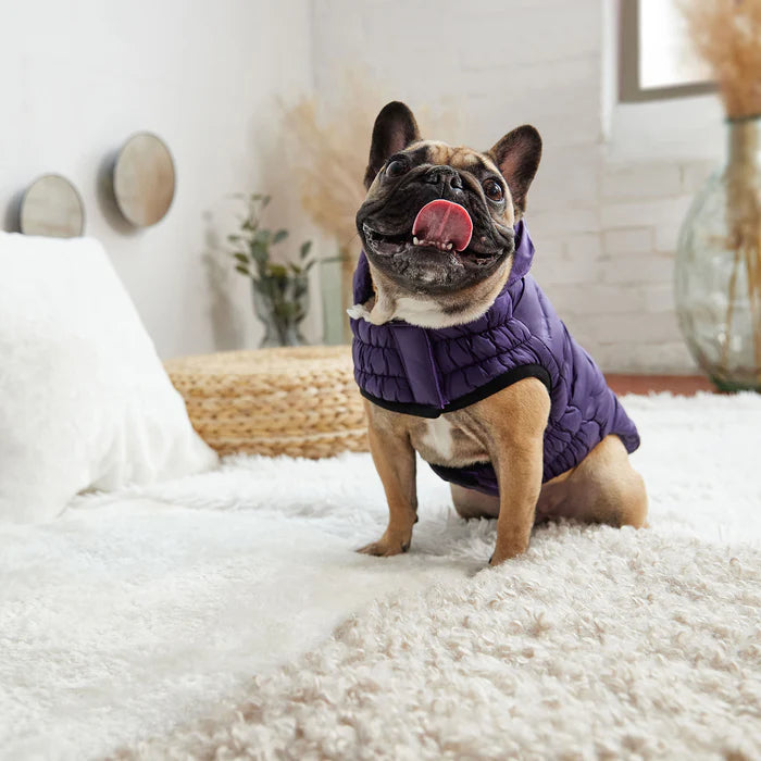 GF Pet - Cloud Dog Parka | Purple