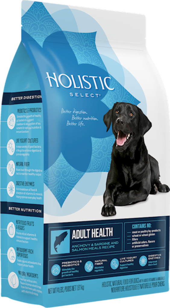 WellPet - Holistic Select - Dog Adult Health Anchovy/Salmon